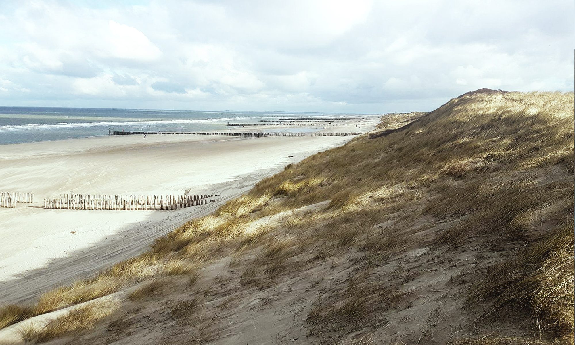 Homecoming Retreats - Locations - NL, Domburg, Yogabee